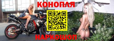 шишки Ипатово