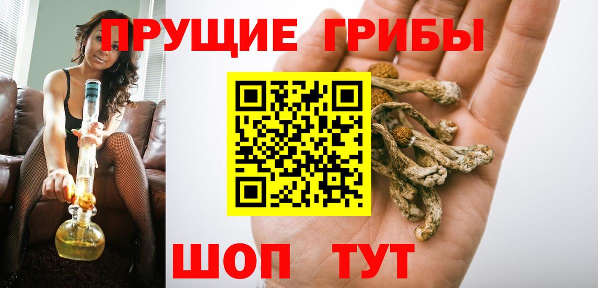 сколько стоит  Галлюциногенные грибы прущие грибы  Вход с VPN  Галлюциногенные грибы Psilocybe  Новозыбков 